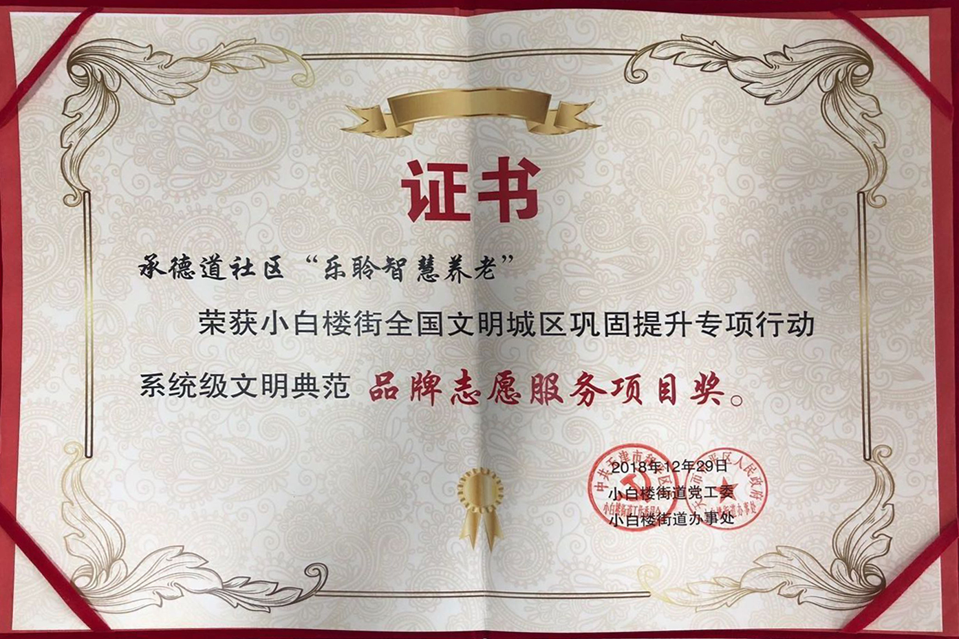 品牌志愿服务项目奖