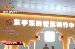 中宣部采访团到访武汉东亭社区乐聆智慧颐养中心